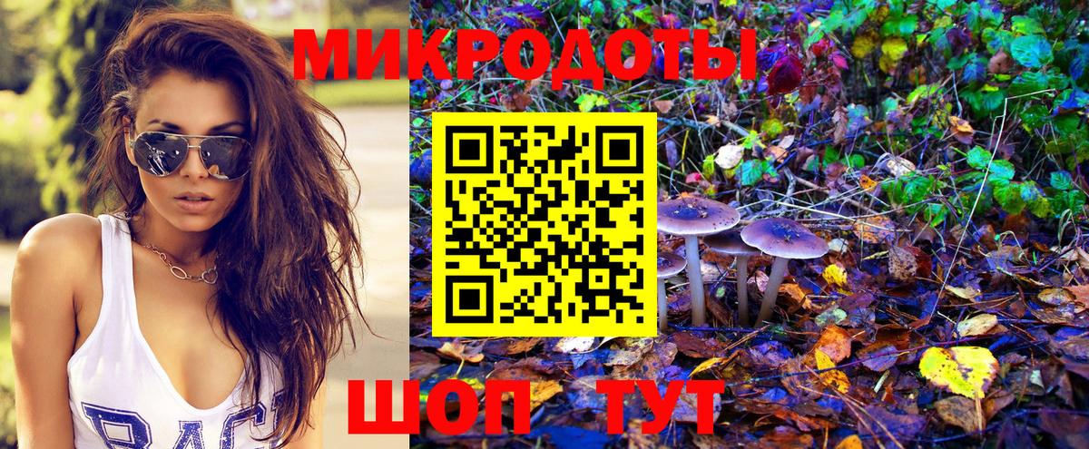 Камышин  Галлюциногенные грибы GOLDEN TEACHER  Вход с VPN  Псилоцибиновые грибы GOLDEN TEACHER 